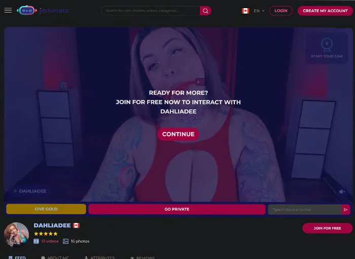 WHAT PEOPLE USE INSTEAD OF THE OLD RANDOM CHAT SITES