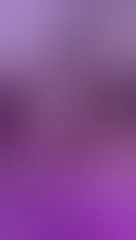 My curves are not improvised, they enjoy