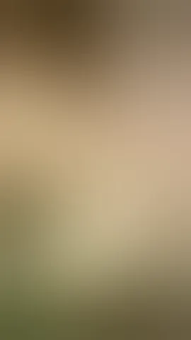 I want to sit on your hard cock.