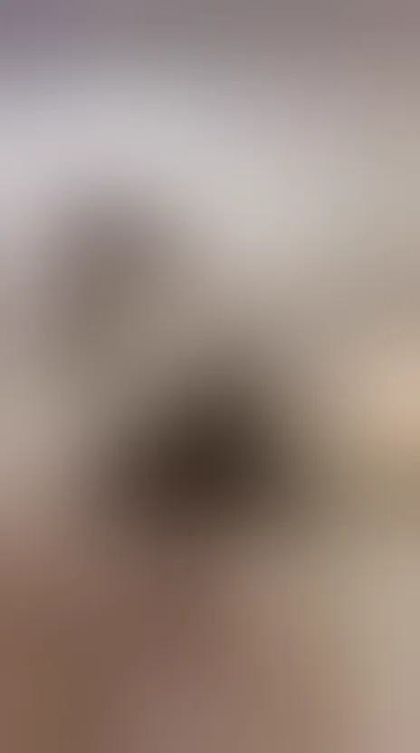 my beutiful ass wants to sit on you