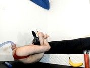 Playful_Toy