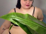 Sweet_Nova
