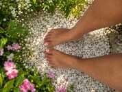 Diamond_lucy83
