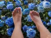 Diamond_lucy83