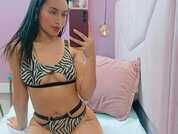 NicolleFire