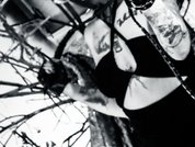 AmySpider