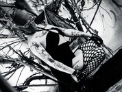 AmySpider
