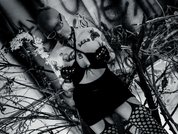 AmySpider