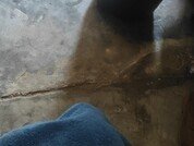 Josecamsex27