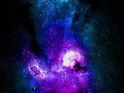 Marcbones23