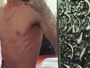 SebastianReed