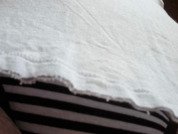 Silver_Willow