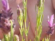 THESensualhorny