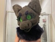 TiedMuzzled