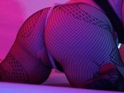 Vanessa_Autumn