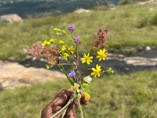 Indianboy8940 profile