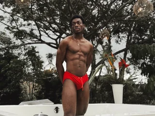 JanStallion profile