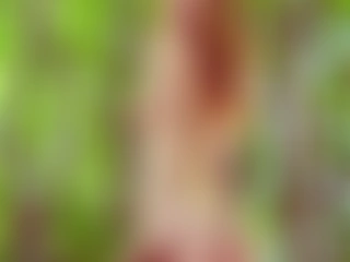 EvangelinePaisley profile