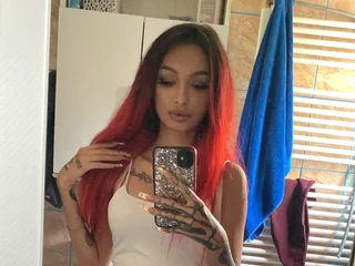 MiniFox