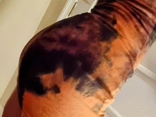 secrethoneypotxo