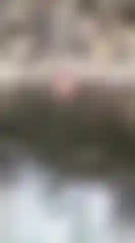 The river water running through my body, but I wish your hands and your tongue would run through me!!!