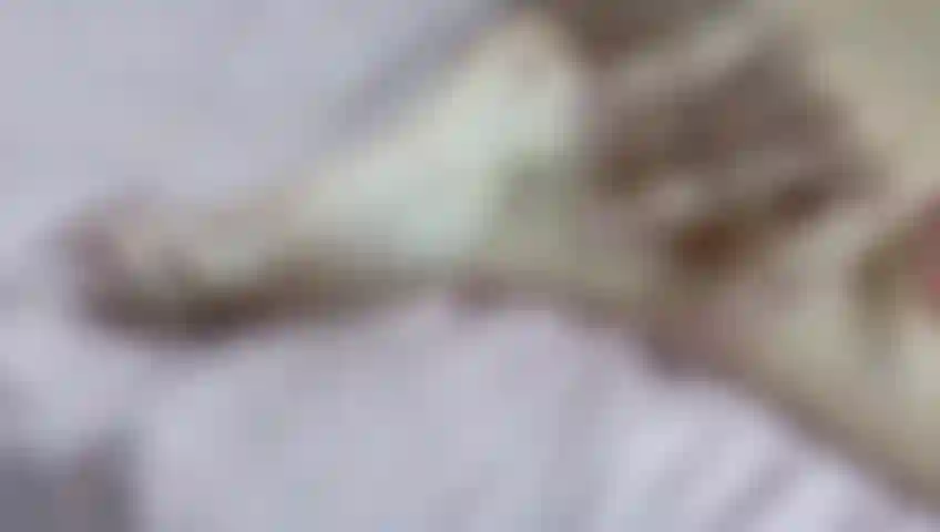 Califica el cuerpo de abby.