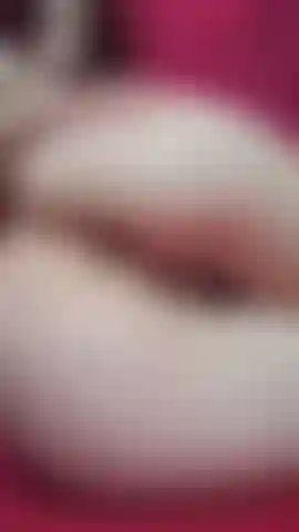 Sex Anal