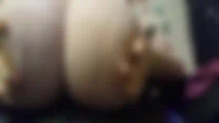 Cierre rápido zangoloteo.