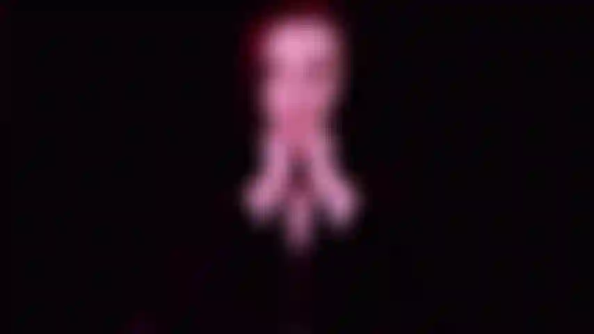 Directamente al grano: un video para una mujer directa que solo se centra en todas mis partes deliciosas.