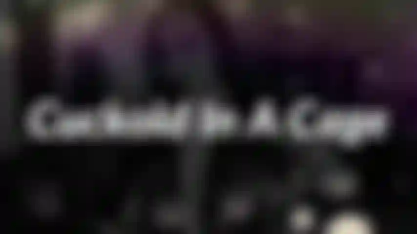 Cornudo en una jaula. Recogí algo para ti cuando estaba fuera. Algo que realmente creo que ayudará a nuestra relación. Sorpresa! Tu polla en una jaula!