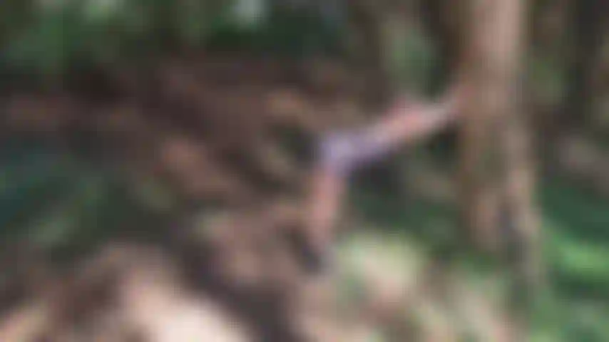 Provocando en lencería sexy + botas en el bosque.
