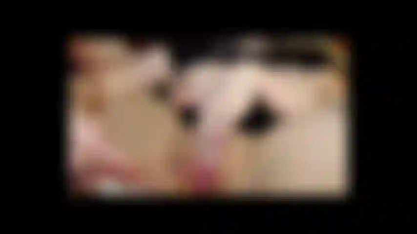 Corrida en el clip del coño de un video más largo.