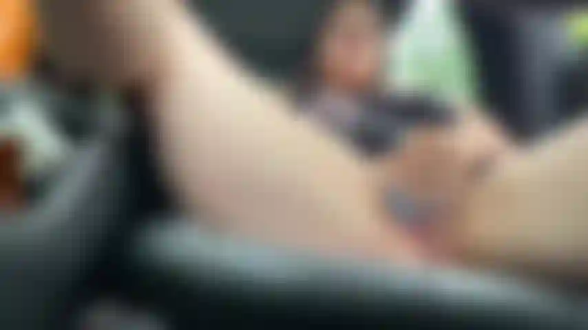 Juego de autos del parque estatal sativa.