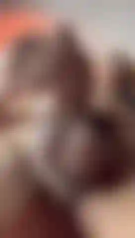 Preparando mi polla dura para ti.