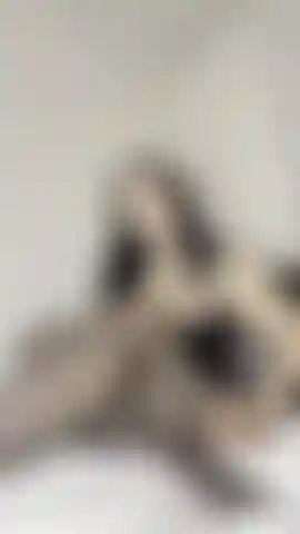 Fishnet feet tease and denial humiliation...Awww, you wanna see my bare naked feet? Earn it. First adore my fishnet pantyhose feet, and the way the soft fabric touches against each wrinkle of my soles and my plump pretty toes. Youre a completely loser lost and pumping for my fishnet feet, begging for more, begging to see them bare, will I do it?