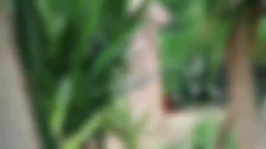 Verano después del confinamiento :).