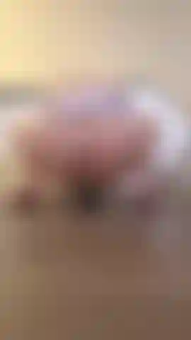Montando mi dildo con mi suéter virgin killer. Mi coño es tan apretado omg.