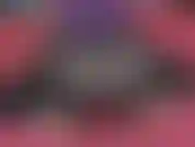 Twerk en calzas transparentes.