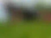 Flexiones vs sentadillas.