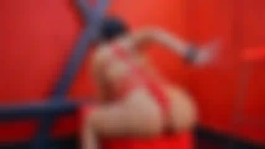 Los látigos tienen mucho éxito.