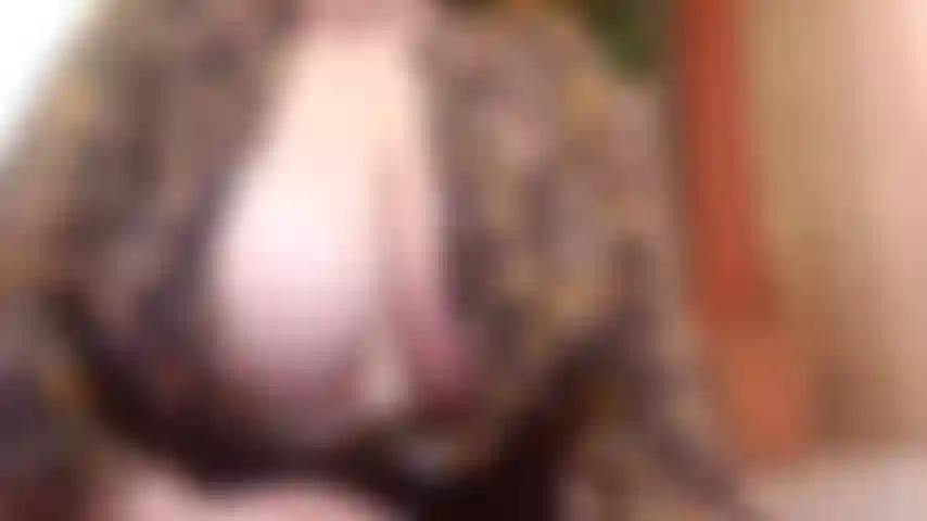 Vaquera inversa y bj 4 "papá" en punto de vista, babeando sobre tu gorda polla y luego metiéndola dentro de mi pequeño coño y viendo mi culo rebotar mientras lo tomo todo.