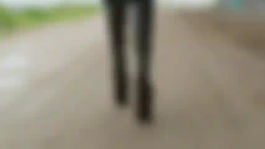 ¿Te gustaría salir a caminar?