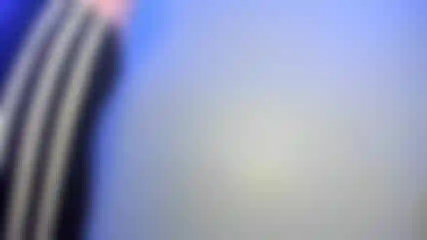 Mis pantalones deportivos adoran el culo.