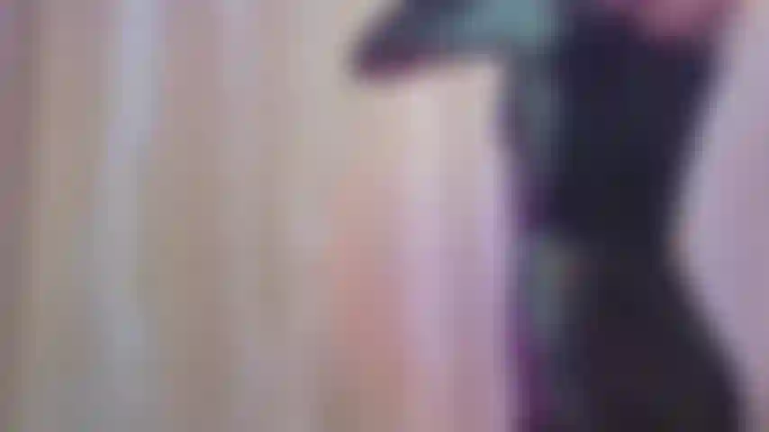 Negación de traje de gato negro: adoración de negación de burlas.