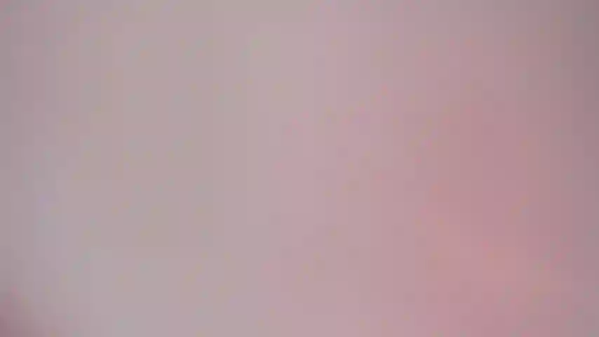 Camisa blanca, juego de búsqueda.