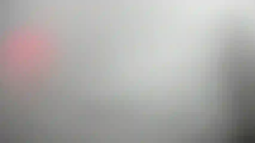 No hay vagina para ti - negación de la vagina.