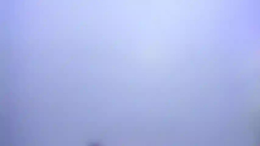 Probándome medias de red.