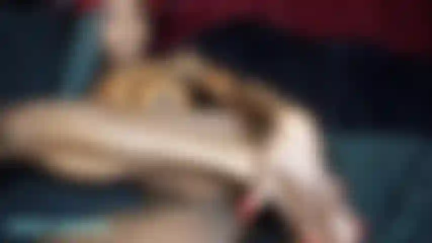 Ven a mí mi señor demonio oscuro y lléname como solo tú puedes. Golpea mi coño con esa gran polla negra hasta que mi coño eyacule por todas partes para ti.