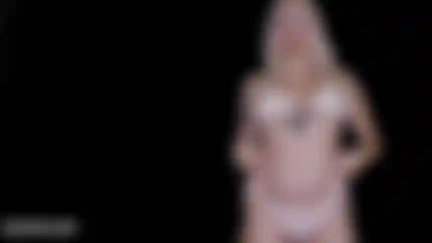 Adoración del bikini.