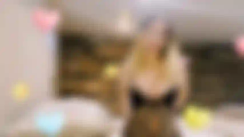 Lista para ser criticada por mi alfa.